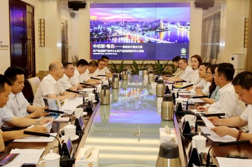 王瑞軍與中誠信善國際投資管理及中農(nóng)聯(lián)控股一行座談 聚焦對外投資與管理合作新機(jī)遇